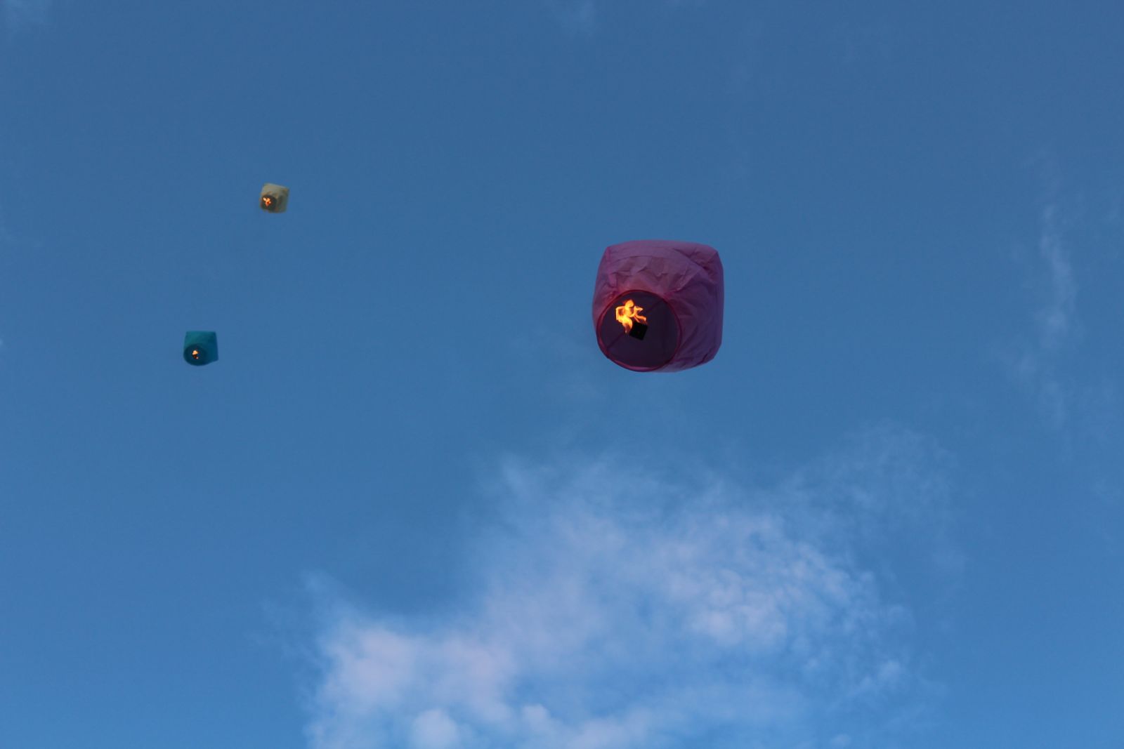 მხიარულთა და საზრიანთა გუნდი „კსუ“ წლის აღმოჩენა გახდა