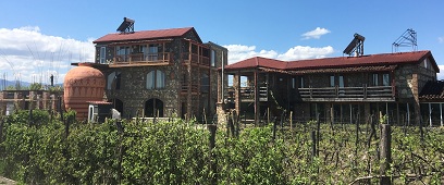 Field Trip at Napareuli Wine Cellar