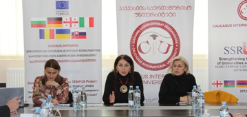 სამუშაო შეხვედრა 