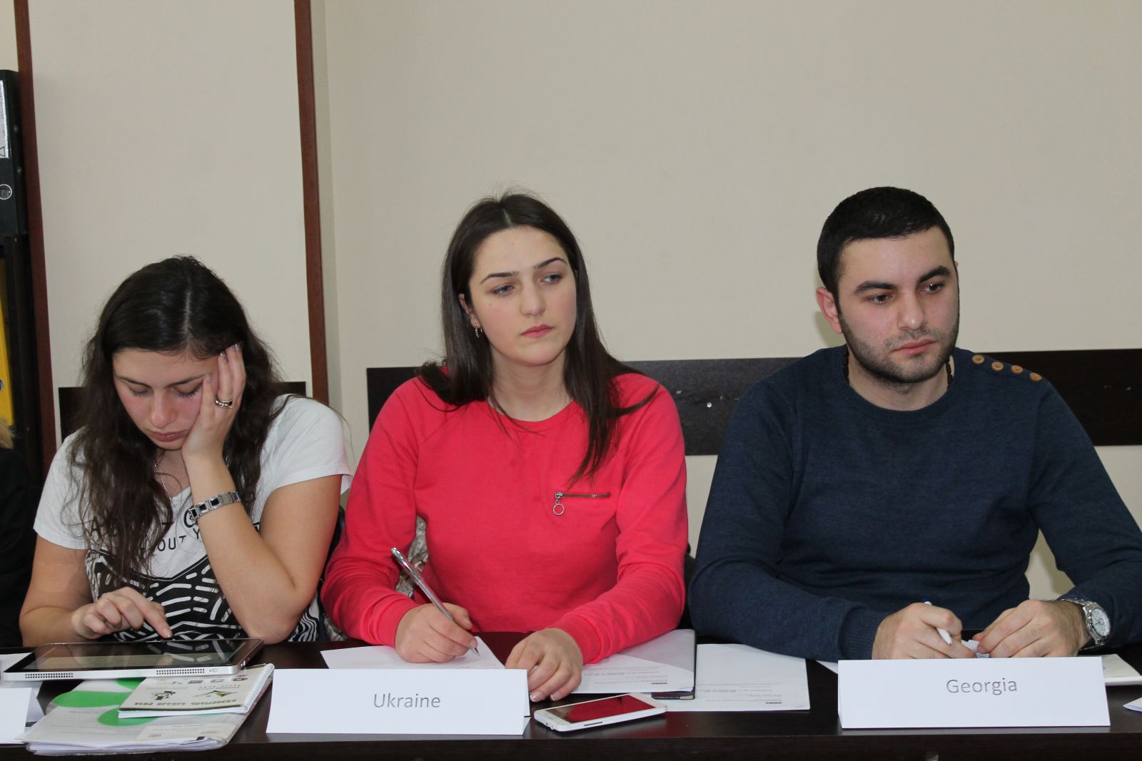 ეუთოს მუდმივმოქმედი საბჭოს მოდელირებული სხდომა 