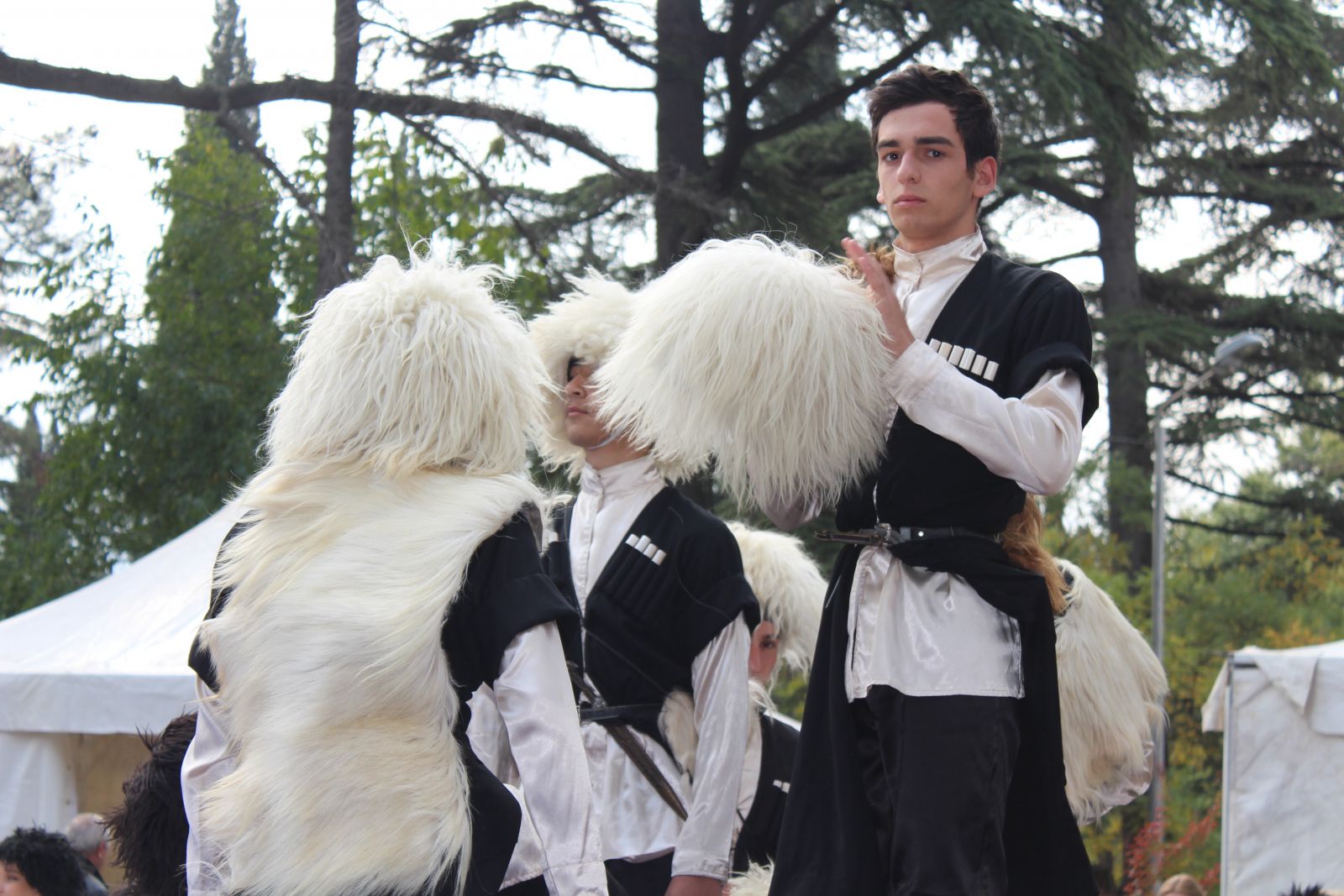 თბილისობა 2014