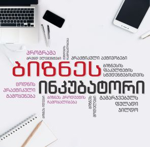 Caucasus International University starts implementing Business Incubator project!