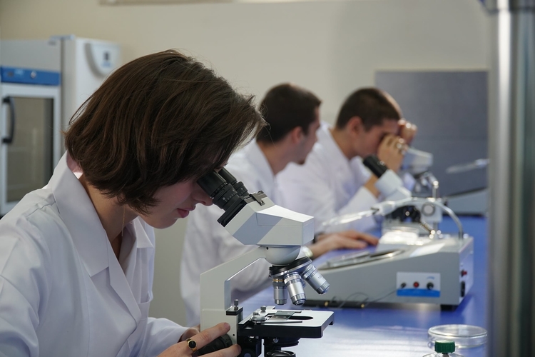 Viticulture Winemaking Faculty