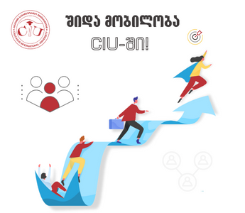 შიდა მობილობა